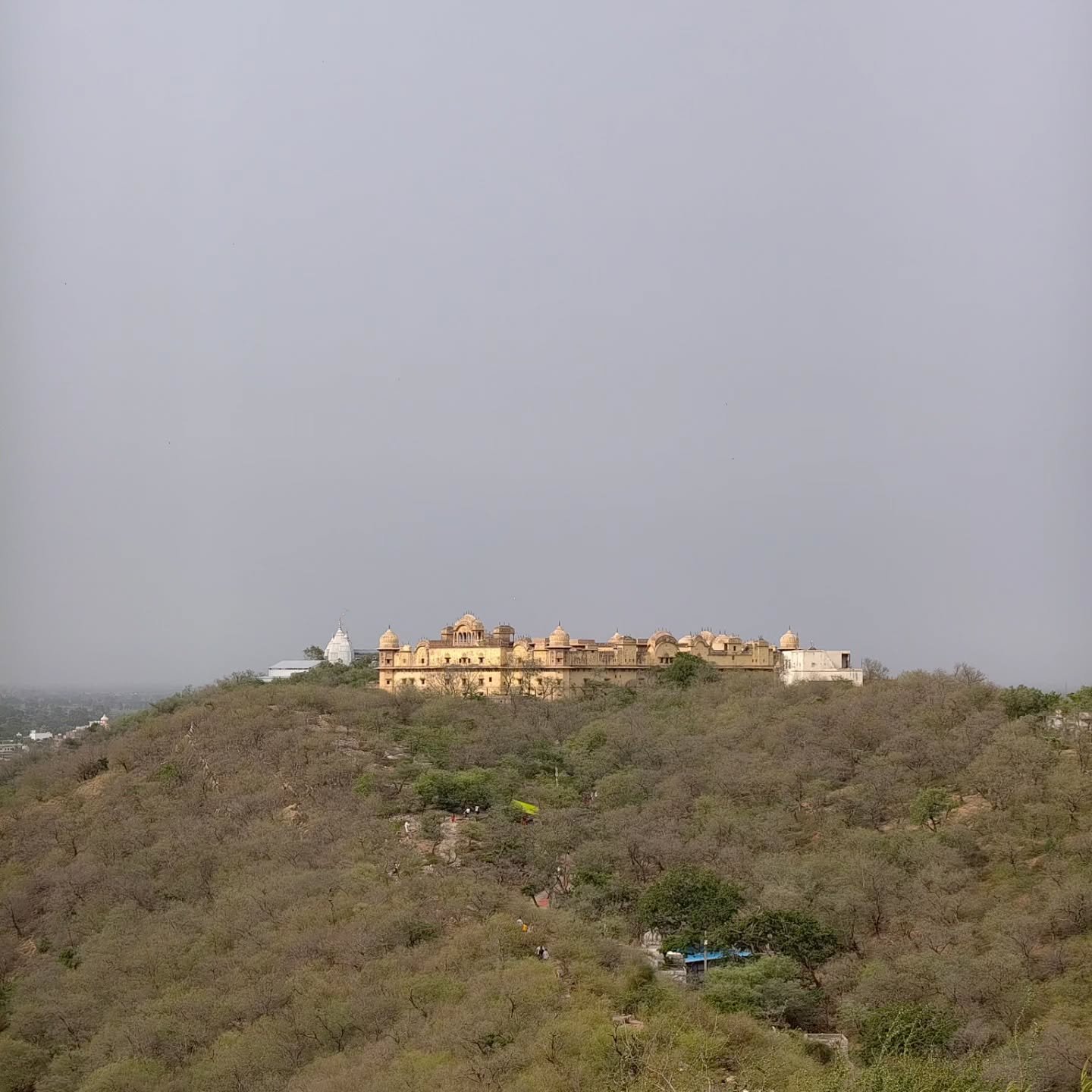 Gahvar Van Overview from Maan Mandir